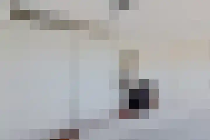 Kammingastrjitte 55 Harkema thumbnail 39