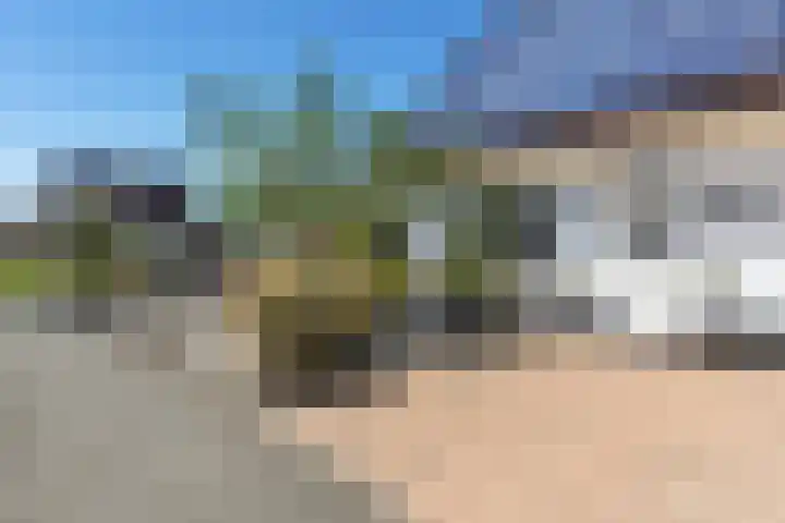 Kammingastrjitte 55 Harkema thumbnail 4