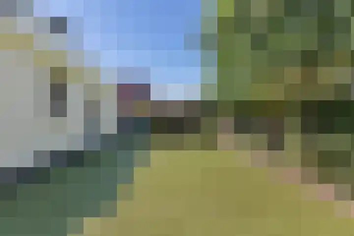 Kammingastrjitte 55 Harkema thumbnail 43