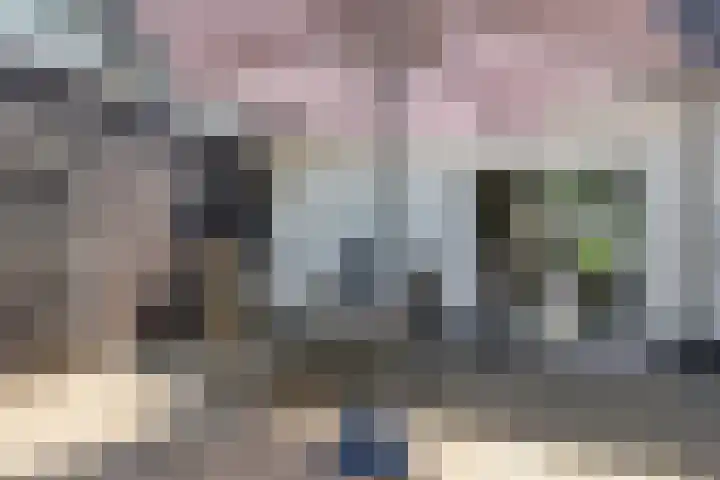 Kammingastrjitte 55 Harkema thumbnail 46