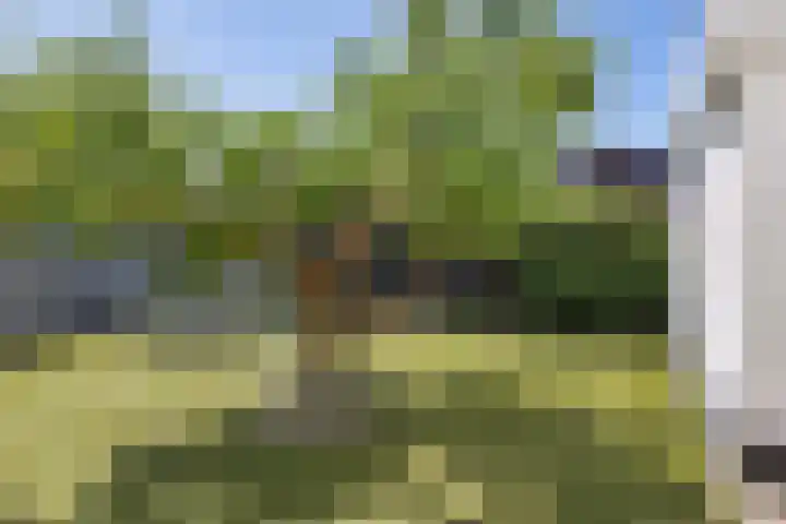 Kammingastrjitte 55 Harkema thumbnail 5