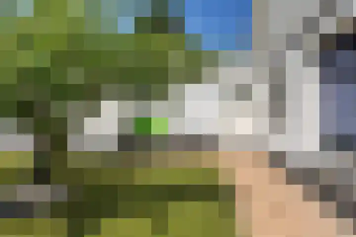 Kammingastrjitte 55 Harkema thumbnail 7
