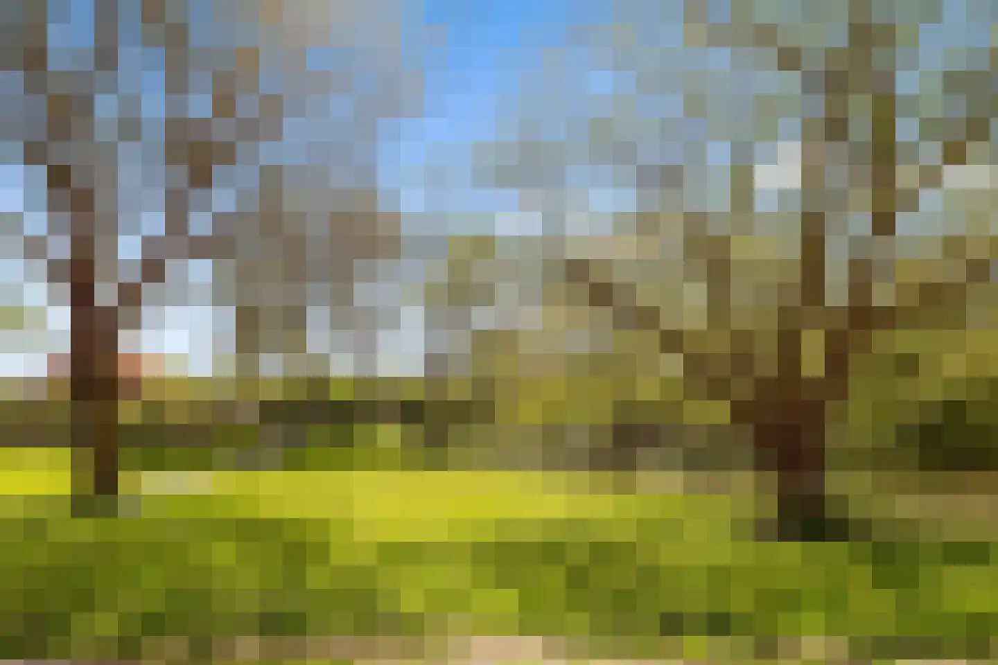 Kamp 10 14 Lelystad thumbnail 33
