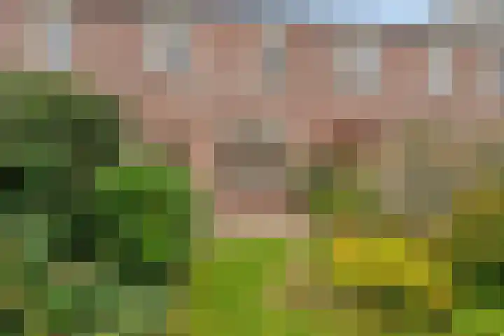 Kamp 10 24 Lelystad thumbnail 21