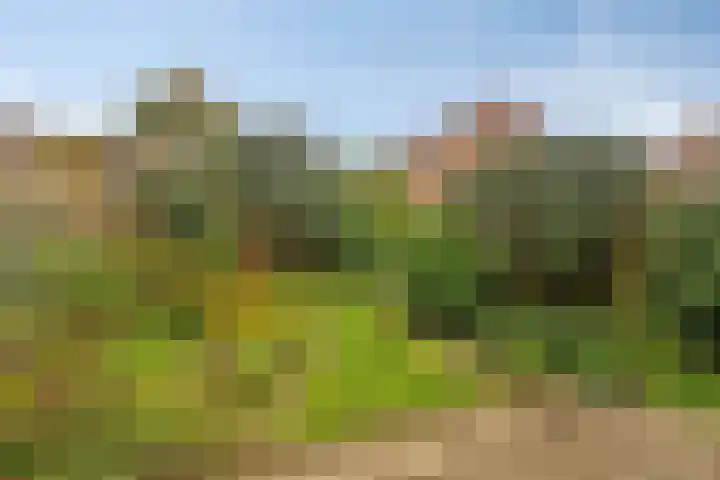 Kamp 10 24 Lelystad thumbnail 22
