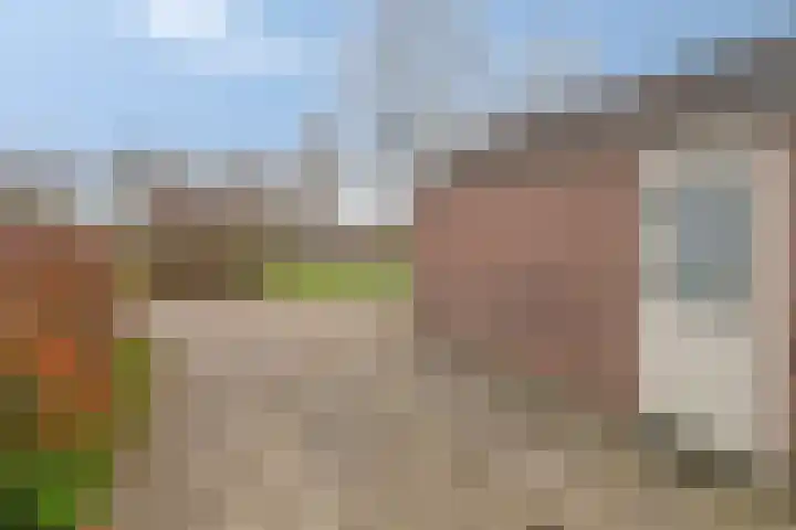 Kamp 10 24 Lelystad thumbnail 5