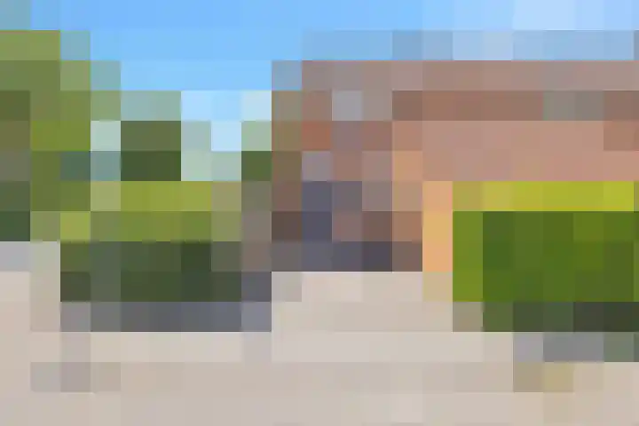 Kamp 11 11 28 Lelystad