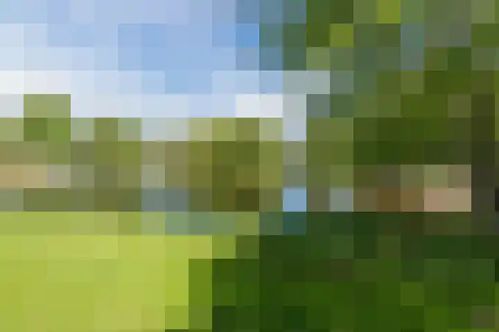 Kamp 11 31 Lelystad thumbnail 52