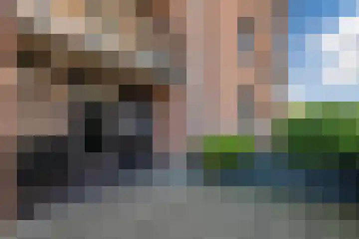 Kamp 11 31 Lelystad thumbnail 8