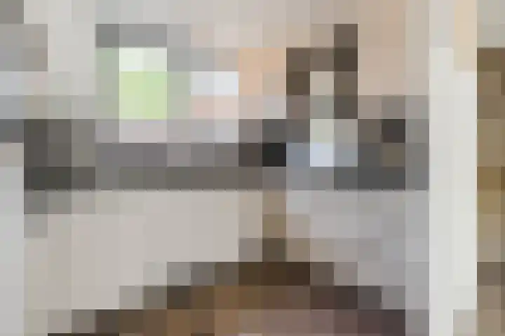 Kamp 12 12 24 Lelystad thumbnail 16