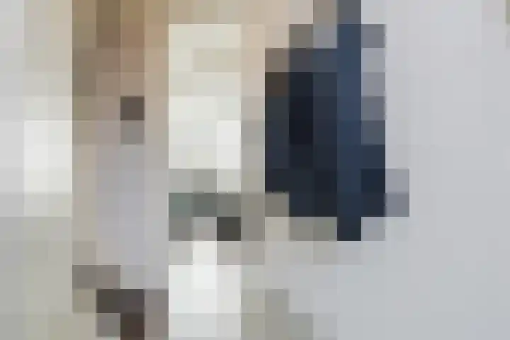 Kamp 12 12 24 Lelystad thumbnail 9