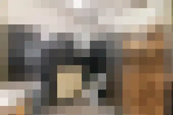 Kamp 12 12 53 Lelystad thumbnail 20