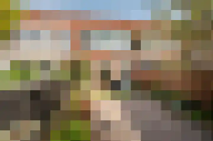 Kamp 12 17 Lelystad thumbnail 25