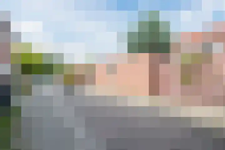 Kamp 12 24 Lelystad thumbnail 41