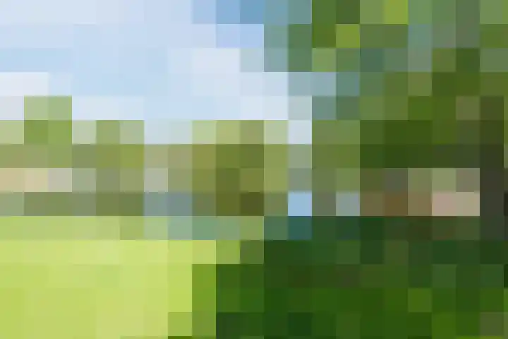 Kamp 12 24 Lelystad thumbnail 46