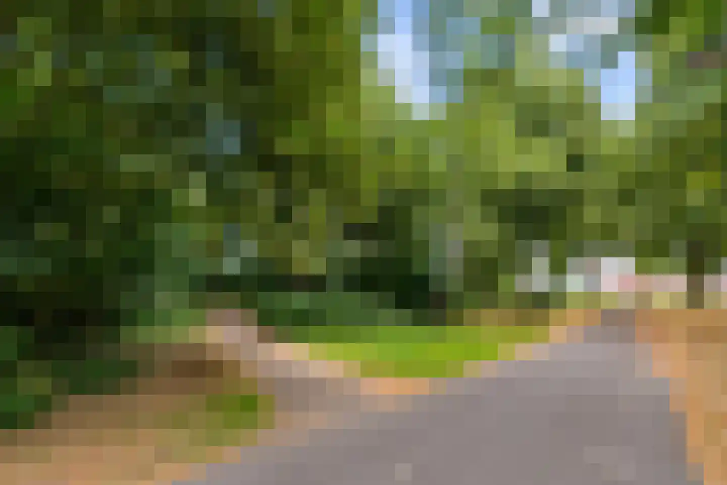 Kamp 12 32 Lelystad thumbnail 32