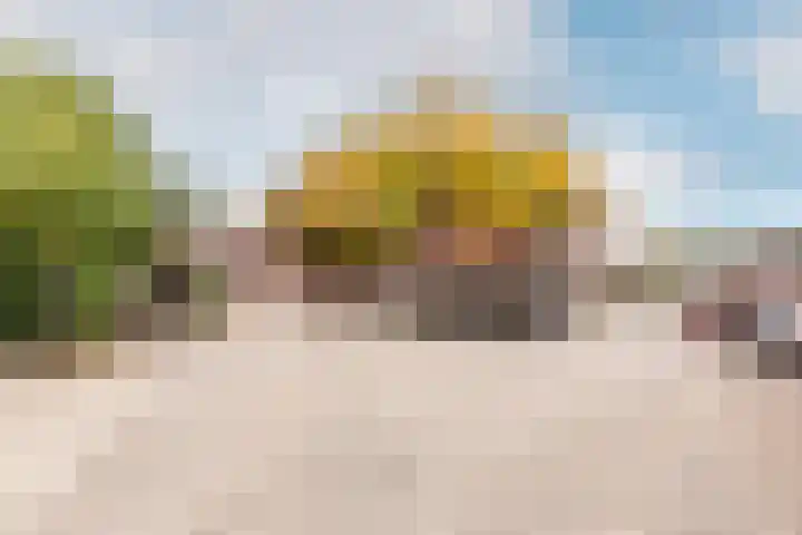 Kamp 12 53 Lelystad thumbnail 29