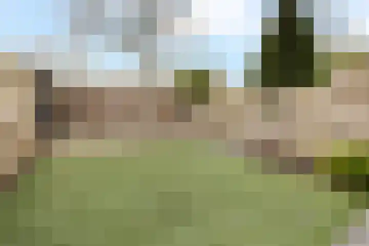 Kamp 14 14 28 Lelystad thumbnail 28