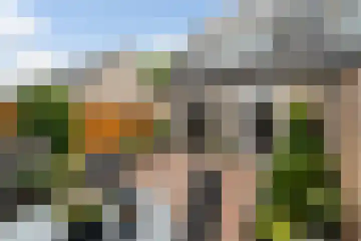 Kamp 15 15 89 Lelystad thumbnail 10