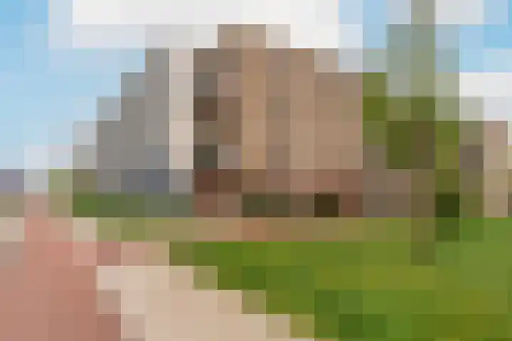 Kamp 15 15 89 Lelystad thumbnail 18