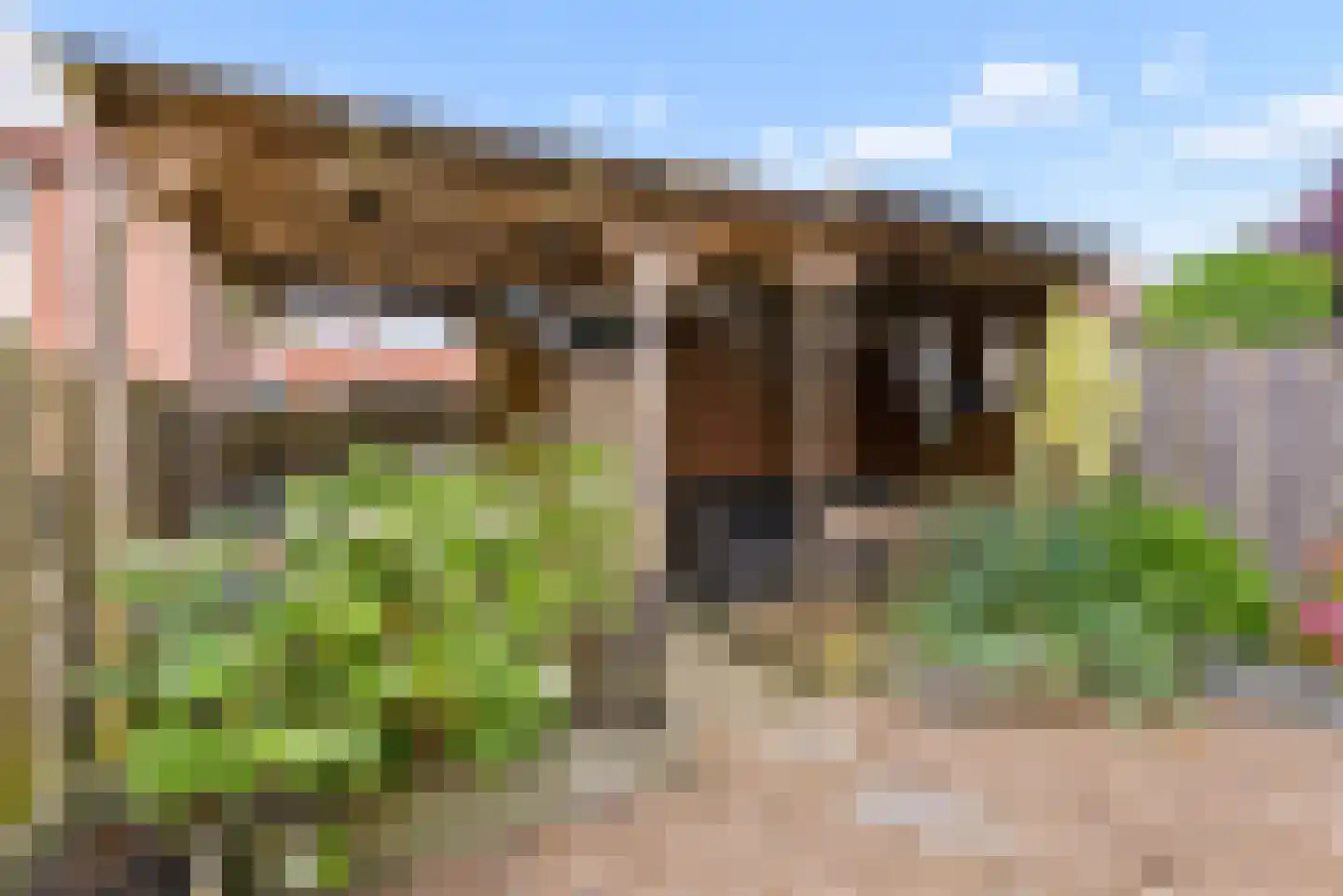 Kamp 15 57 Lelystad thumbnail 33