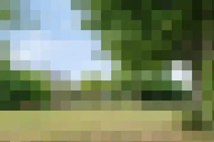 Kamp 16 11 Lelystad thumbnail 37