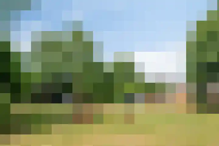 Kamp 16 16 11 Lelystad thumbnail 36