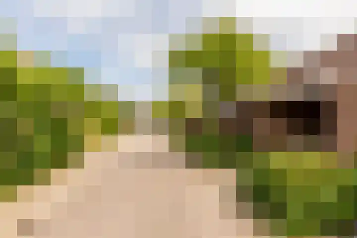 Kamp 16 16 36 Lelystad thumbnail 35