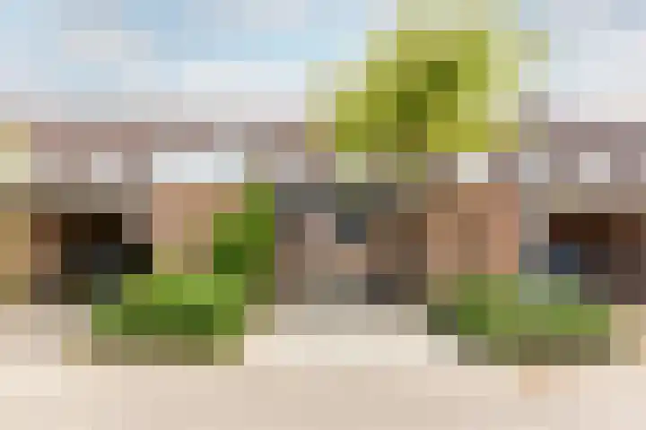 Kamp 16 16 36 Lelystad thumbnail 4