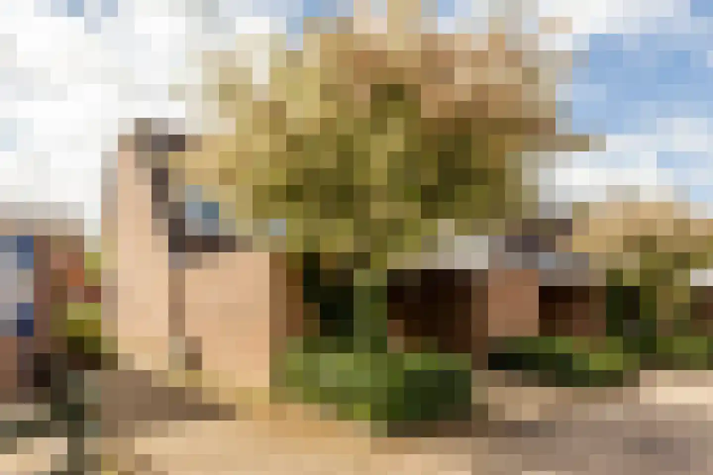 Kamp 16 42 Lelystad thumbnail 35
