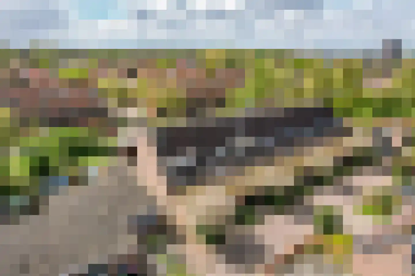Kamp 16 42 Lelystad thumbnail 38