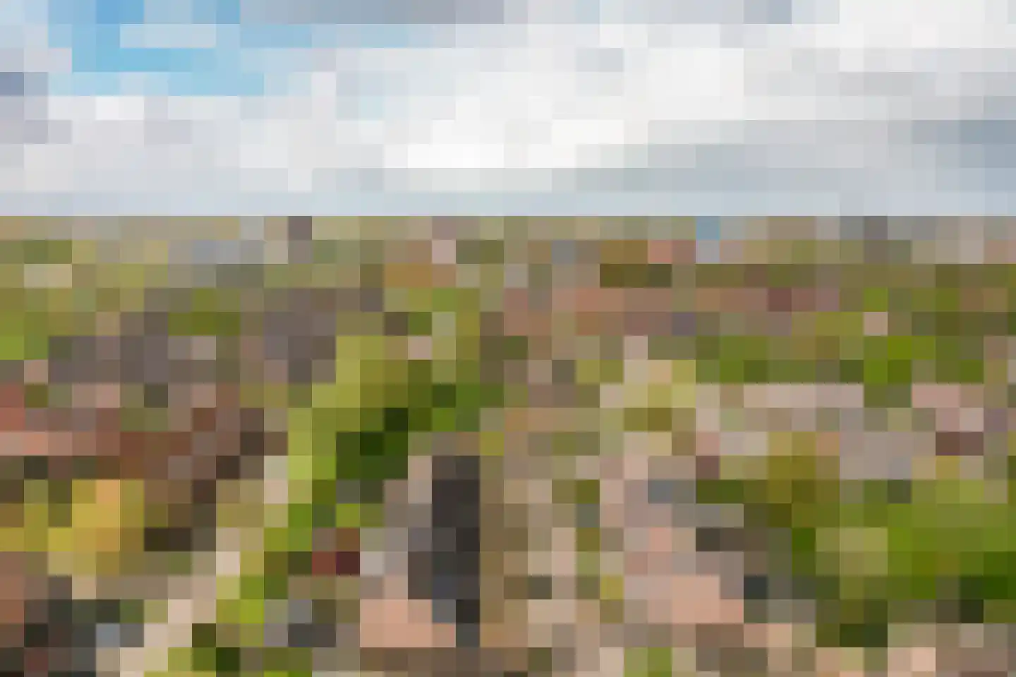 Kamp 16 42 Lelystad thumbnail 42