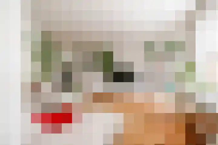 Kamp 17 2 Lelystad thumbnail 15