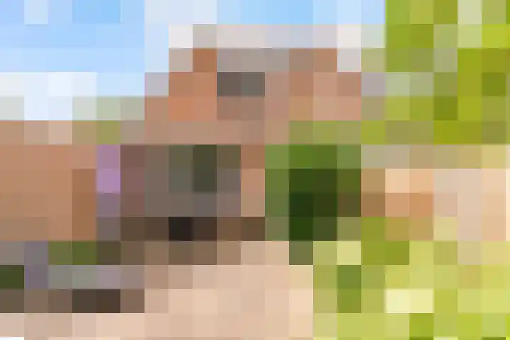 Kamp 17 2 Lelystad thumbnail 30
