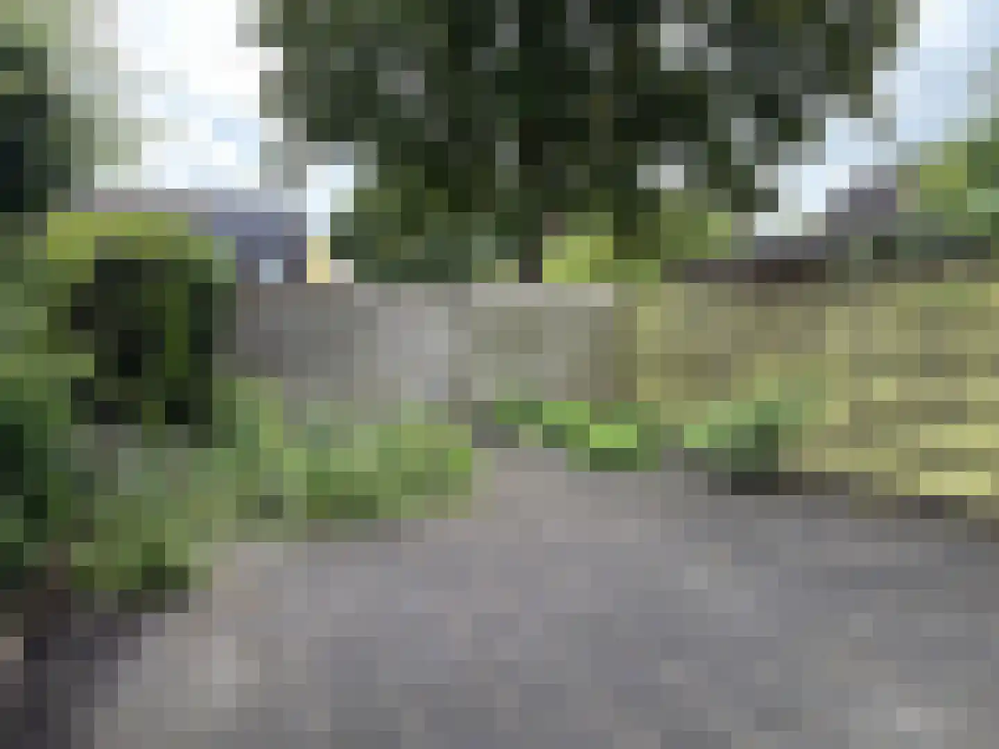 Kamp 18 10 Lelystad thumbnail 20