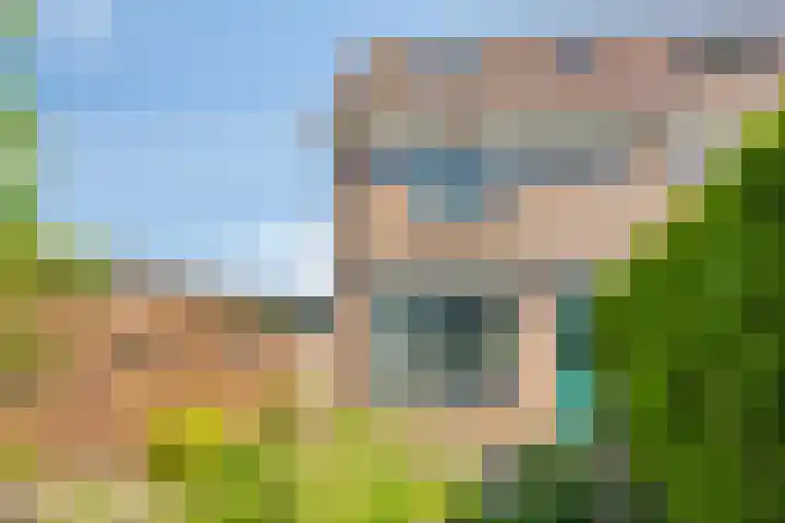 Kamp 20 14 Lelystad thumbnail 24