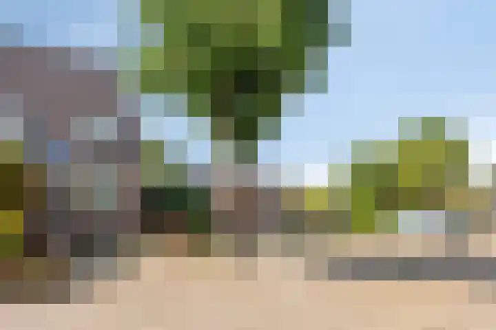 Kamp 20 14 Lelystad thumbnail 26