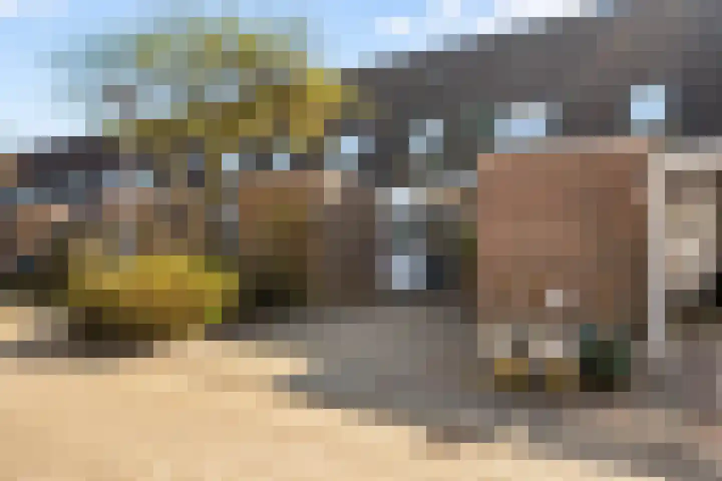 Kamp 20 18 Lelystad thumbnail 4