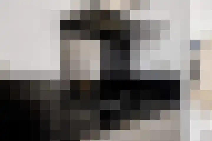 Kamp 20 20 18 Lelystad thumbnail 14
