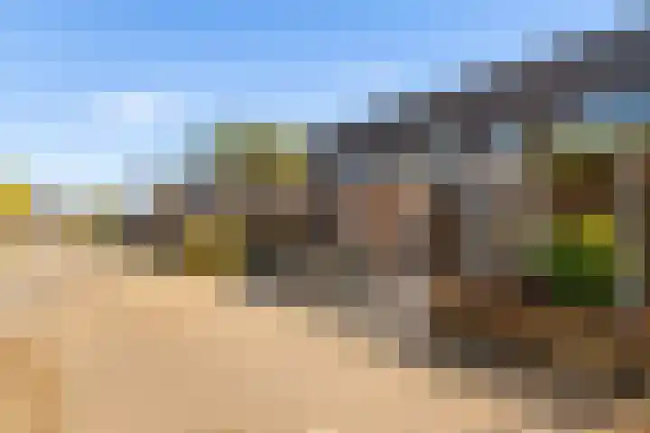Kamp 20 20 18 Lelystad thumbnail 36