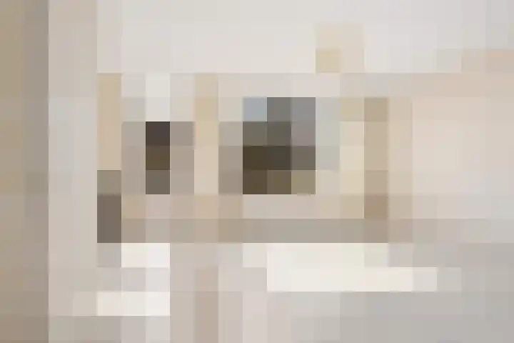 Kamp 20 20 18 Lelystad thumbnail 4