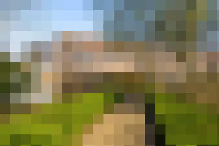 Kamp 20 20 18 Lelystad thumbnail 40