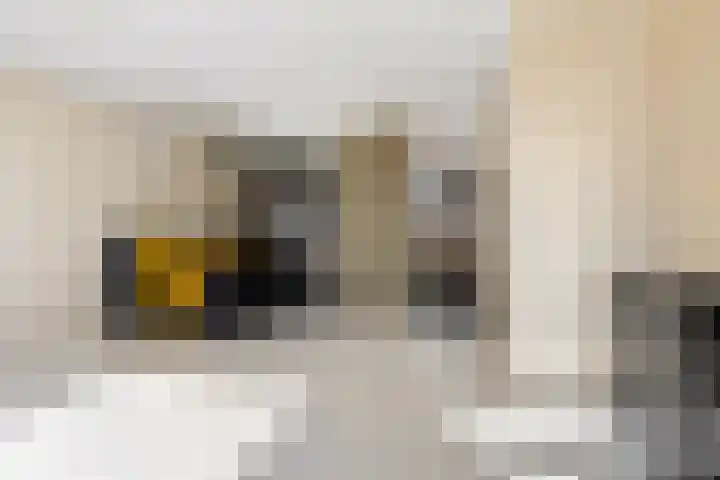 Kamp 20 20 18 Lelystad thumbnail 5