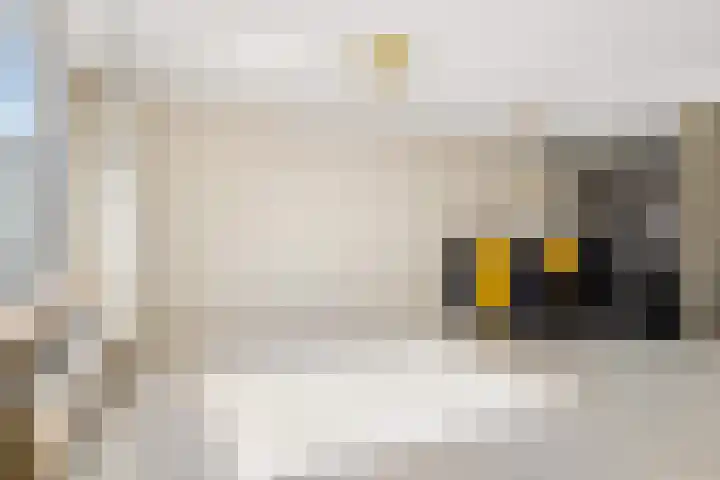 Kamp 20 20 18 Lelystad thumbnail 7