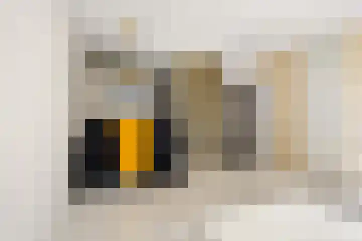 Kamp 20 20 18 Lelystad thumbnail 9