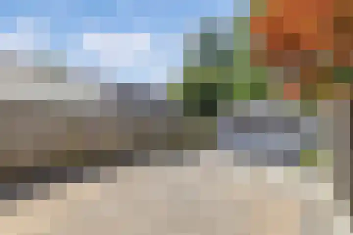 Kamp 21 5 Lelystad thumbnail 17