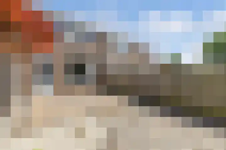 Kamp 21 5 Lelystad thumbnail 19