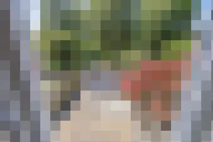 Kamp 21 5 Lelystad thumbnail 30