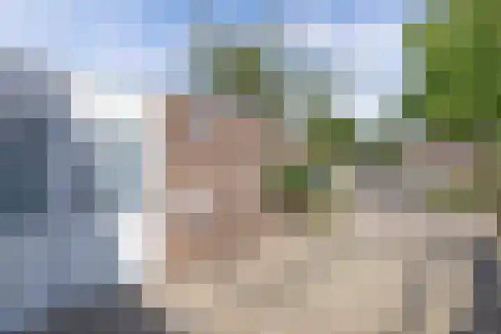 Kamp 21 5 Lelystad thumbnail 34