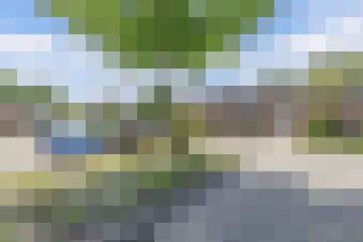 Kamp 21 5 Lelystad thumbnail 38